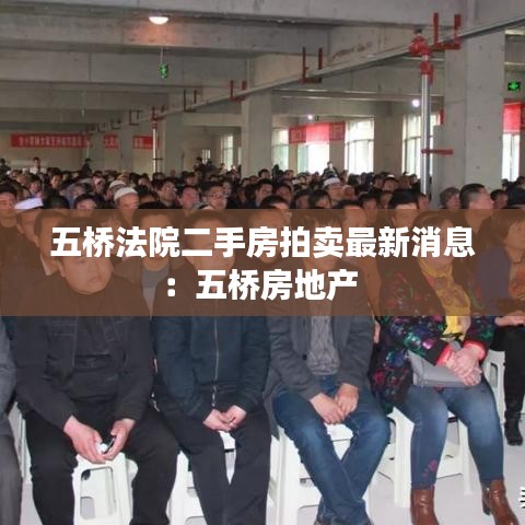 五桥法院二手房拍卖最新消息:五桥房地产