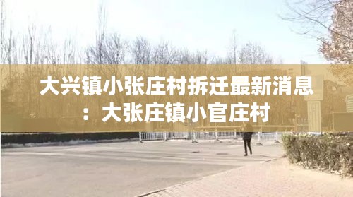 大兴镇小张庄村拆迁最新消息:大张庄镇小官庄村