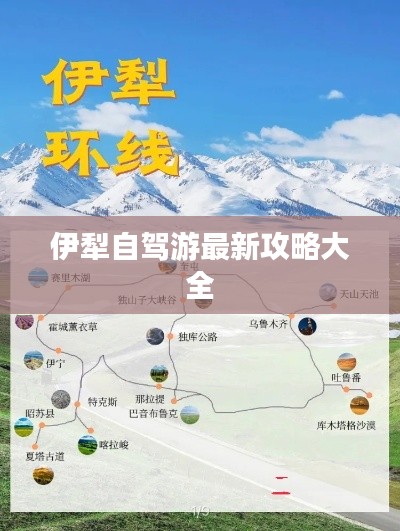 鸟为食亡 第4页