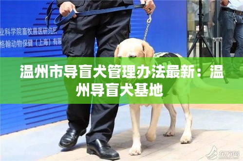 温州市导盲犬管理办法最新：温州导盲犬基地 