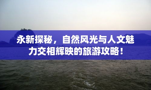 焚膏继晷 第5页