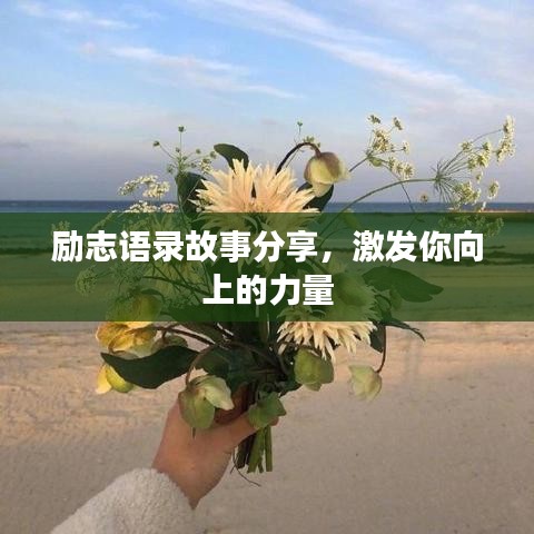 励志语录故事分享,激发你向上的力量