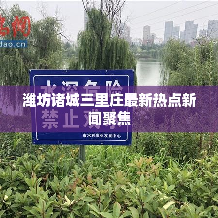 潍坊诸城三里庄最新热点新闻聚焦