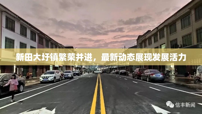 新田大圩镇繁荣并进,最新动态展现发展活力