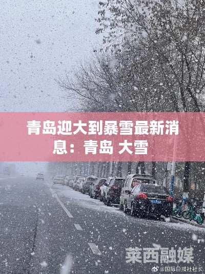 青岛迎大到暴雪最新消息:青岛 大雪
