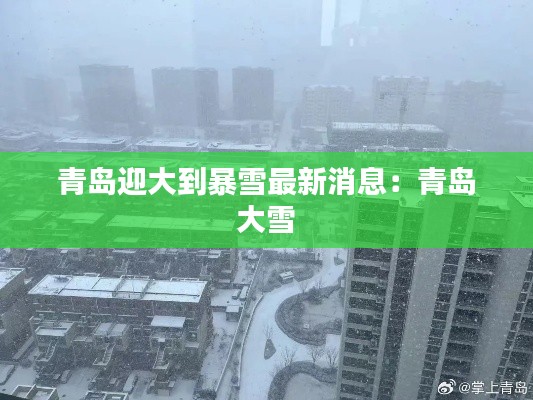 青岛迎大到暴雪最新消息:青岛 大雪