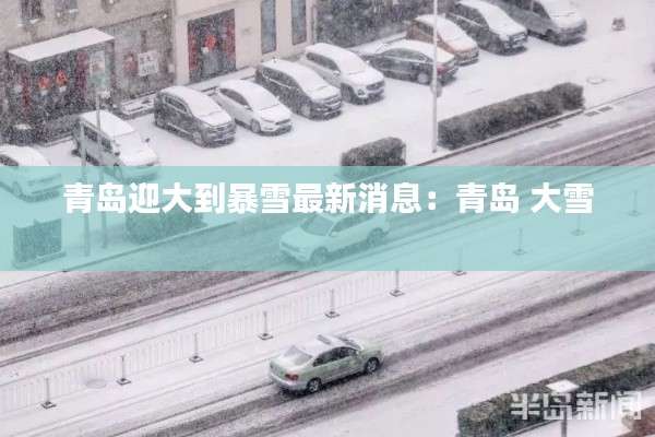 青岛迎大到暴雪最新消息:青岛 大雪