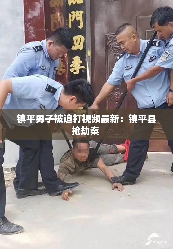 展翅高飞 第5页
