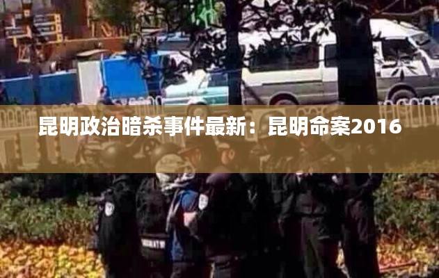 昆明政治暗杀事件最新:昆明命案2016
