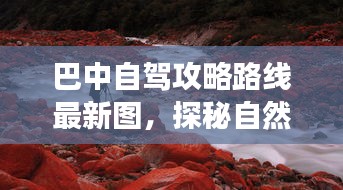 甄繁就简 第5页