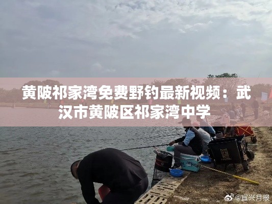 黄陂祁家湾免费野钓最新视频:武汉市黄陂区祁家湾中学