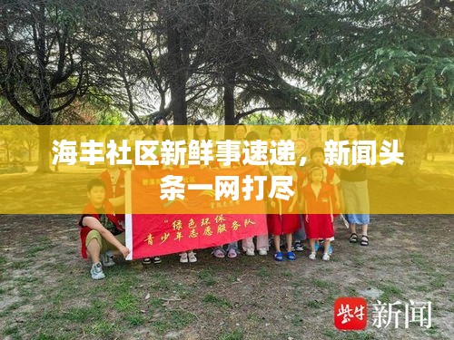 海丰社区新鲜事速递,新闻头条一网打尽