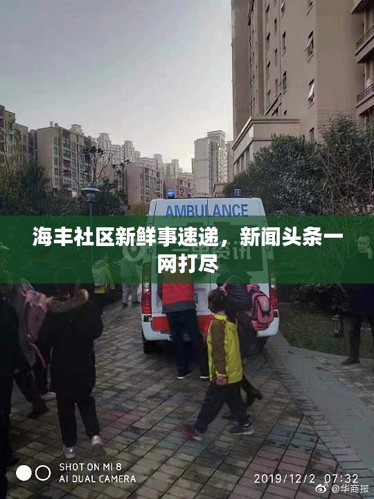 海丰社区新鲜事速递,新闻头条一网打尽