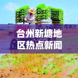 台州新塘地区热点新闻聚焦