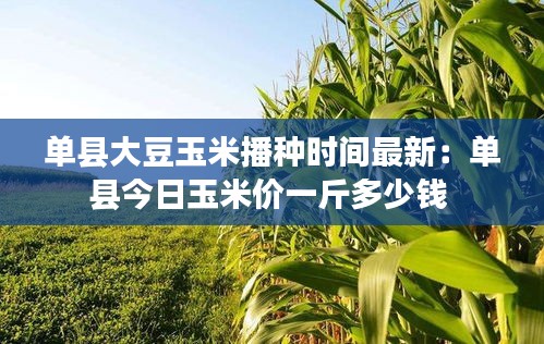 虫蚀鸟步 第5页