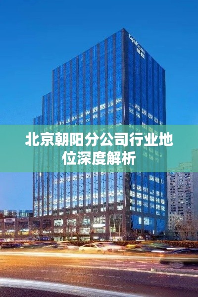 北京朝阳分公司行业地位深度解析