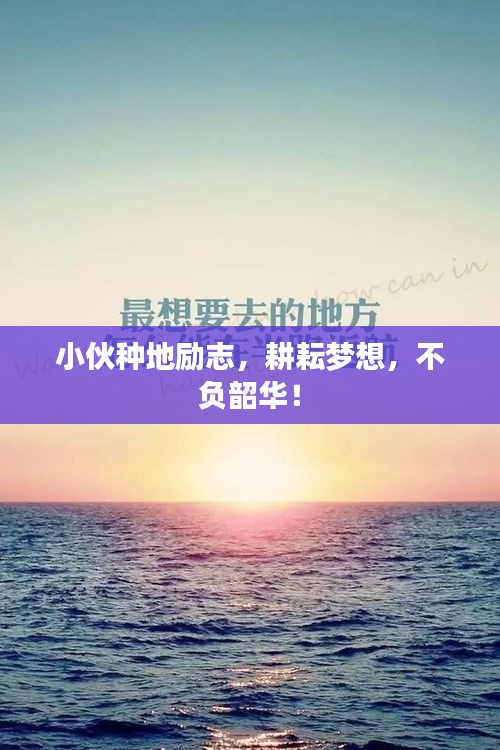 小伙种地励志,耕耘梦想,不负韶华!