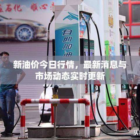 新油价今日行情,最新消息与市场动态实时更新