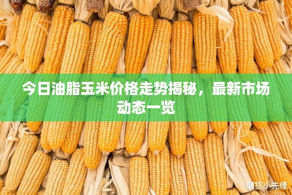 今日油脂玉米价格走势揭秘，最新市场动态一览