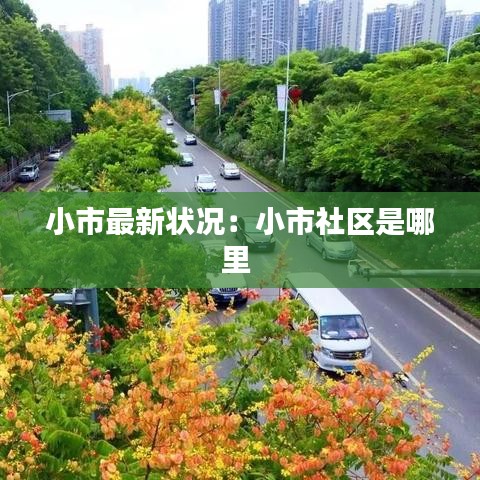 小市最新状况:小市社区是哪里