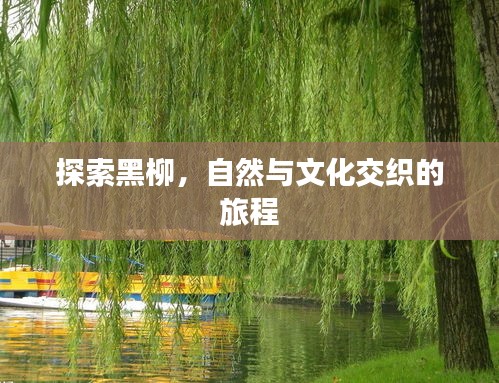 龙马精神 第4页