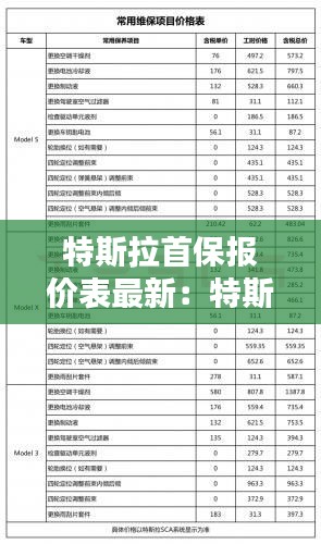 特斯拉首保报价表最新：特斯拉首次保养 