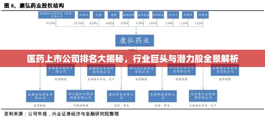 医药上市公司排名大揭秘,行业巨头与潜力股全景解析