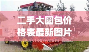 二手大圆包价格表最新图片:二手大圆捆机交易市场