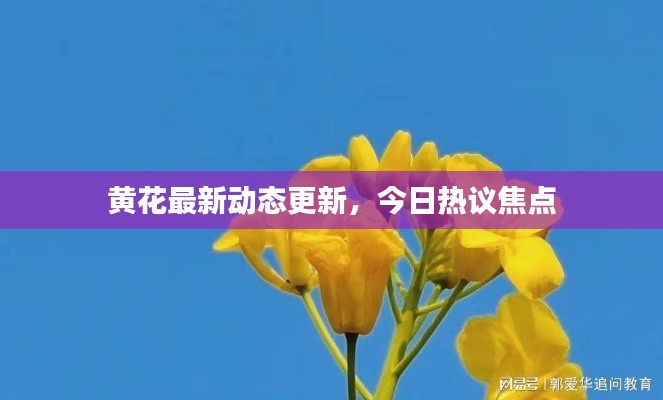 人杰地灵 第4页