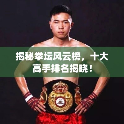 揭秘拳坛风云榜,十大高手排名揭晓!