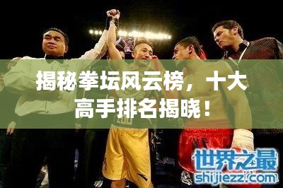 揭秘拳坛风云榜,十大高手排名揭晓!