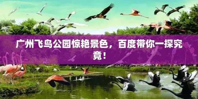 广州飞鸟公园惊艳景色,百度带你一探究竟!