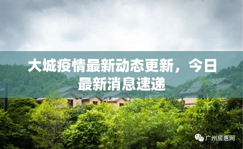 大城疫情最新动态更新,今日最新消息速递