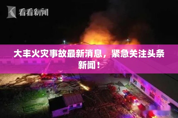 贵耳贱目 第4页