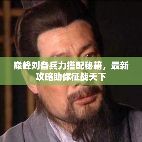 巅峰刘备兵力搭配秘籍，最新攻略助你征战天下