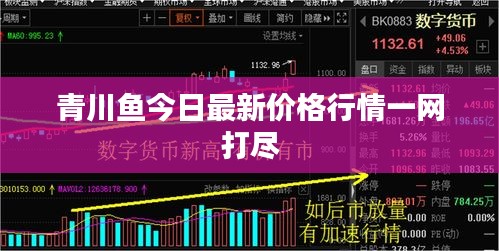 青川鱼今日最新价格行情一网打尽