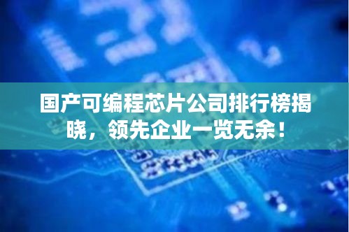 国产可编程芯片公司排行榜揭晓，领先企业一览无余！