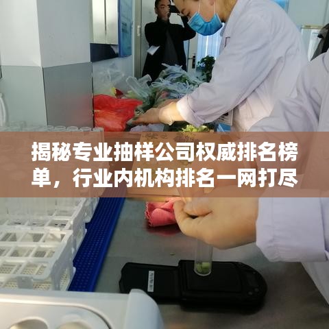 揭秘专业抽样公司权威排名榜单，行业内机构排名一网打尽！