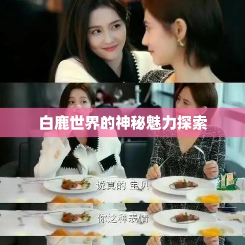 白鹿世界的神秘魅力探索