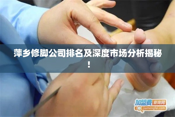 萍乡修脚公司排名及深度市场分析揭秘!