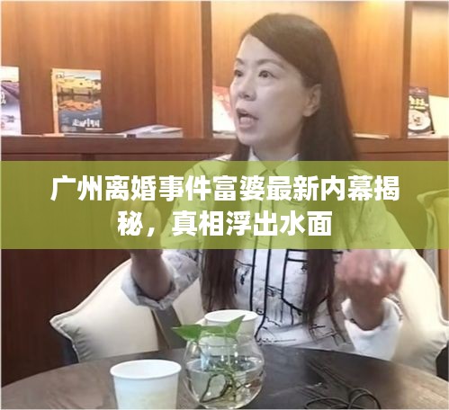 广州离婚事件富婆最新内幕揭秘,真相浮出水面