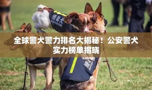 全球警犬警力排名大揭秘!公安警犬实力榜单揭晓