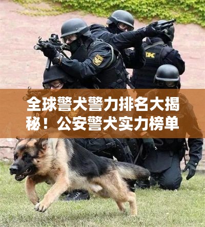 全球警犬警力排名大揭秘!公安警犬实力榜单揭晓