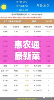 惠农通最新菜价表揭秘,农产品市场趋势一网打尽