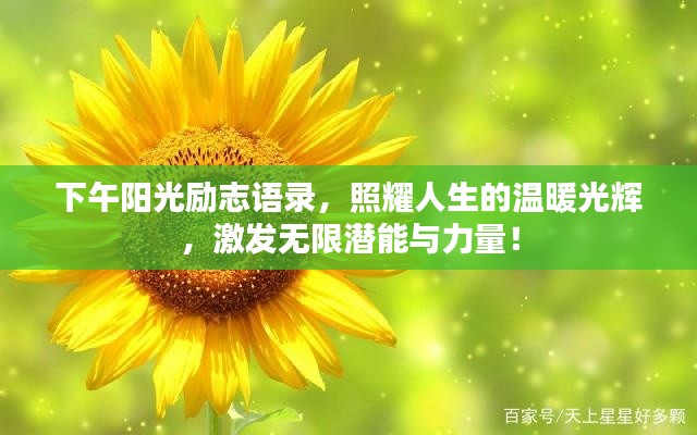 下午阳光励志语录，照耀人生的温暖光辉，激发无限潜能与力量！