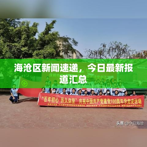 海沧区新闻速递，今日最新报道汇总