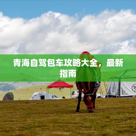 青海自驾包车攻略大全,最新指南