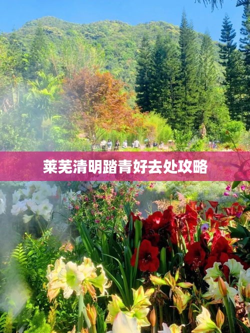 莱芜清明踏青好去处攻略