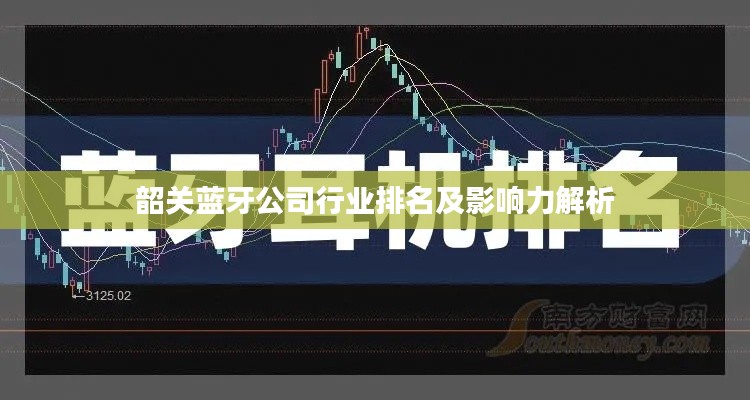 韶关蓝牙公司行业排名及影响力解析