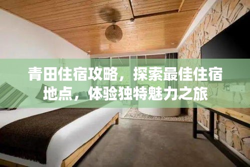 青田住宿攻略,探索最佳住宿地点,体验独特魅力之旅